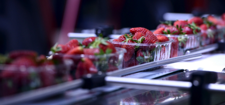 Food Aerosols Mobil ancillaries food aerosols