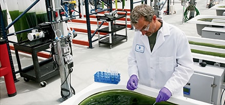Total acid number test