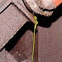 equipment with leakage oil