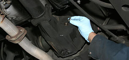 Remove the gear oil fill bolt