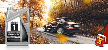 Car driving through the fall backroads.