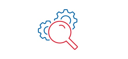 Inspection icon