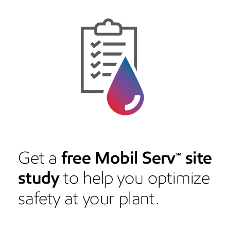 safety first site study banner