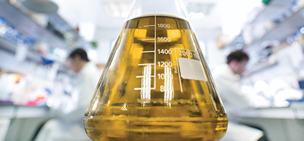 Oil in a beaker