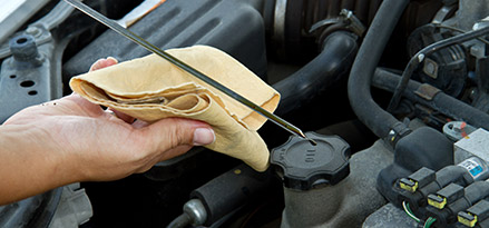Mechanic checking Oil level
